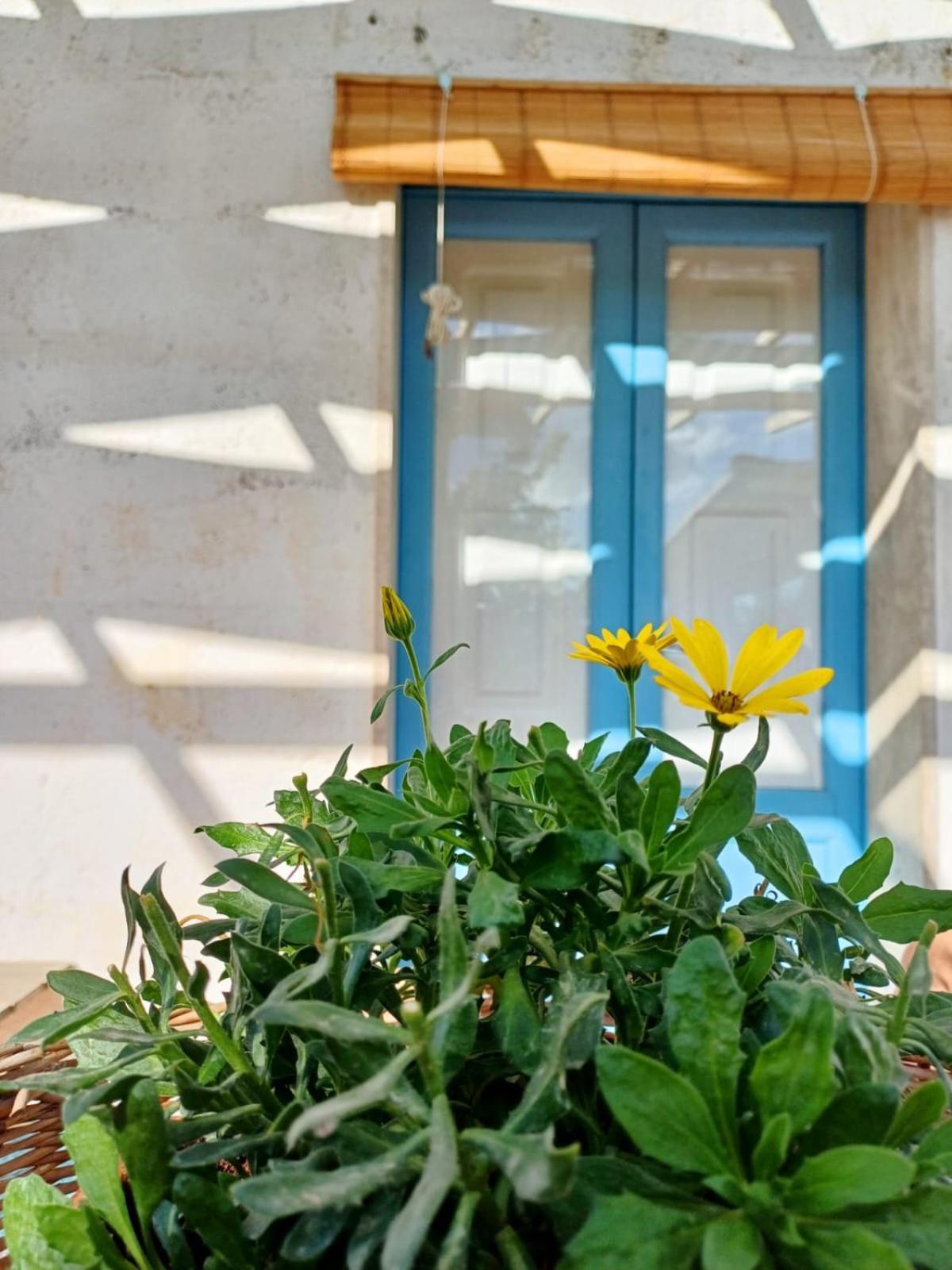 Villa Casina La Tajata Manduria Esterno foto
